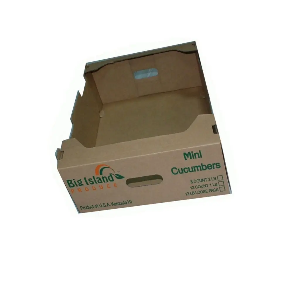 Durable and rigid folding paper corrugated cardboard box fruit vegetable paper tray