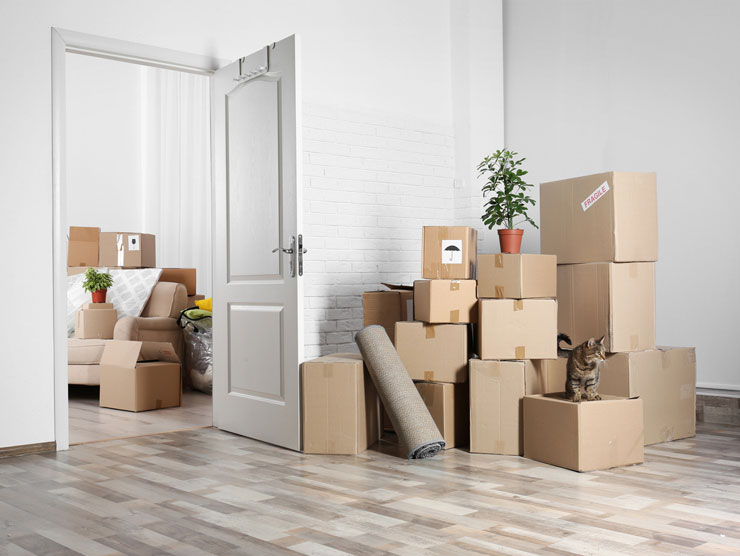 10 Best Moving Boxes Manufacturers and Suppliers in Aruba