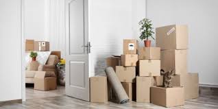 10 Best Moving Boxes Manufacturers and Suppliers in Dominican Republic