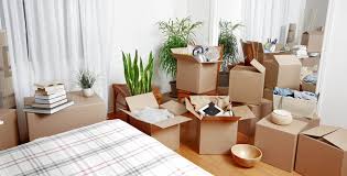10 Best Moving Boxes Manufacturers and Suppliers in Martinique