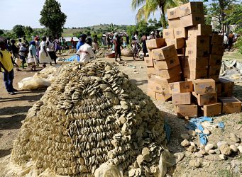 10 Best Moving Boxes Manufacturers and Suppliers in Haiti